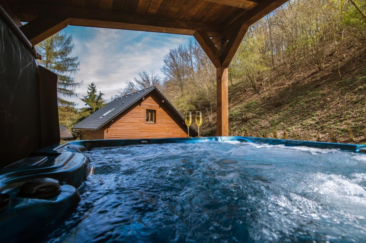 Vila Montemira Ústí nad Labem Exteriér fotografie